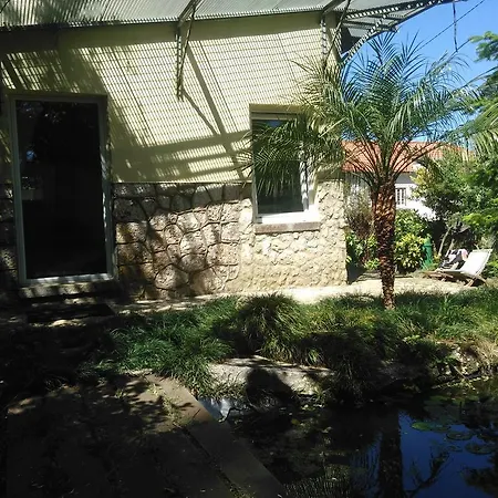 Yellow House סינטרה