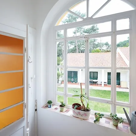 Yellow House