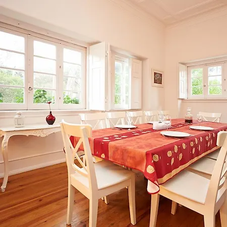 Yellow House סינטרה