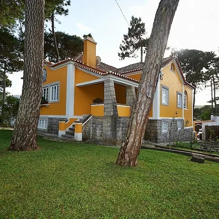 וילה Yellow House