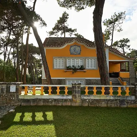 וילה Yellow House