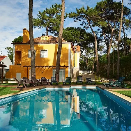 Yellow House סינטרה