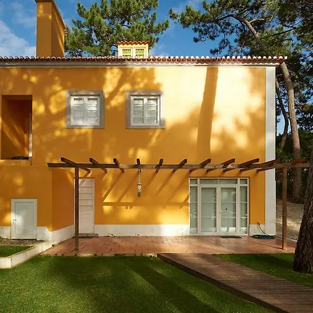 Yellow House סינטרה